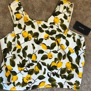 Zara NWT Lemon Citrus Cropped XLarge Top